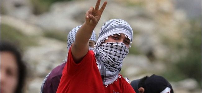 إعتقال أكثر من ٢٠ فلسطيني بالضفة